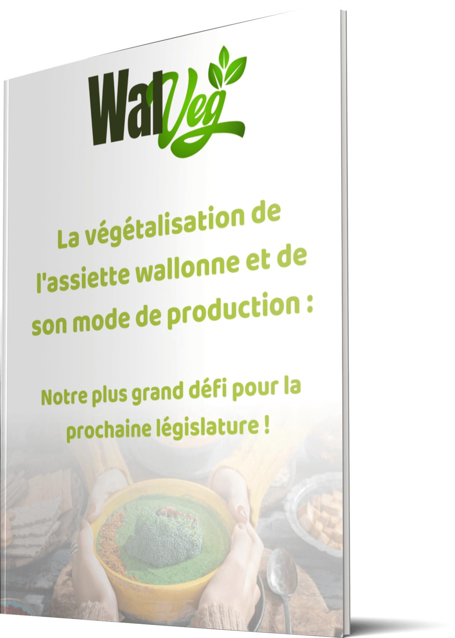 Plaidoyer Walveg. Pourquoi la Wallonie doit intégrer ces 5 mesures de végétalisation des assiettes et de leur mode de production